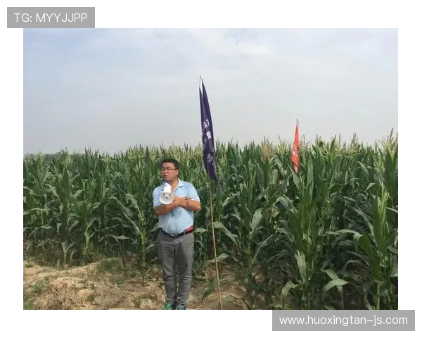 KT Rolster战队重塑辉煌征程分析从赛场到战术创新全方位揭秘 KT Rolster战队重塑辉煌征程分析从赛场到战术创新全方位揭秘