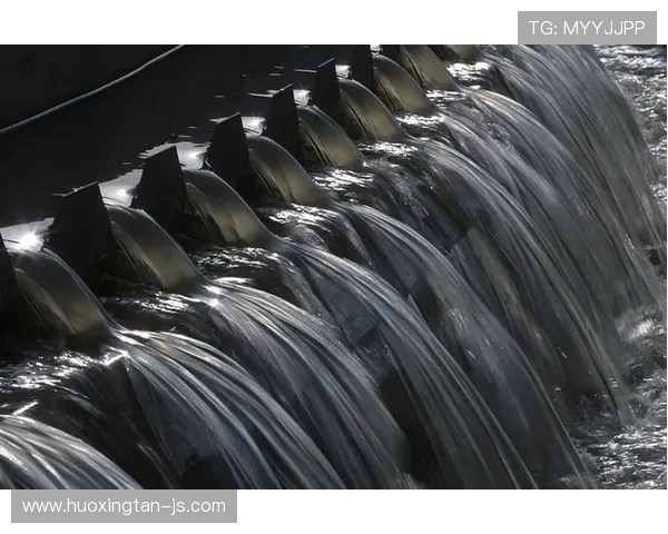 跳水运动的魅力与挑战：从技术到心理素质的全面剖析与探讨