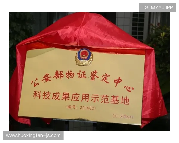 南京枫帆战队乘风破浪再创辉煌引领电竞新时代征程