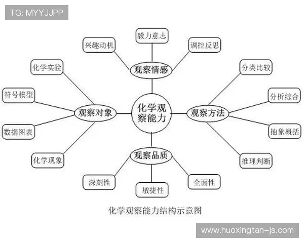 篮球文化与竞技精神的完美融合探讨及其对现代社会的深远影响